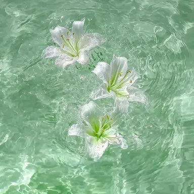 Profile image of 옝