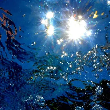 Profile image of 행크