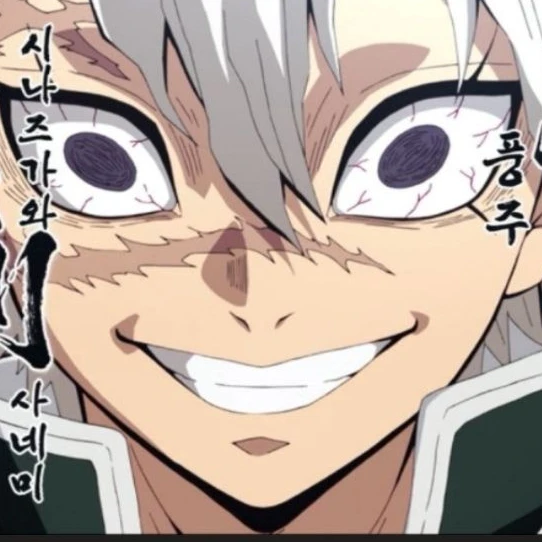 시나즈가와 사네미