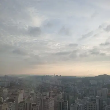 Profile image of 뜰팁