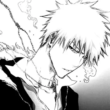 Profile image of Ichigo