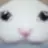 코먀먀