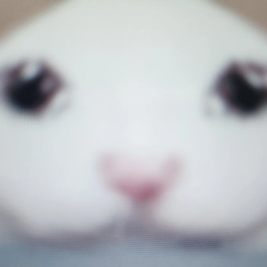 코먀먀
