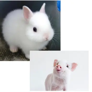 Profile image of 창빊