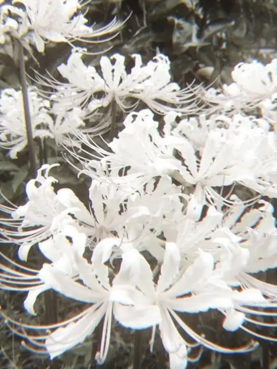 deep0umi의 永遠に