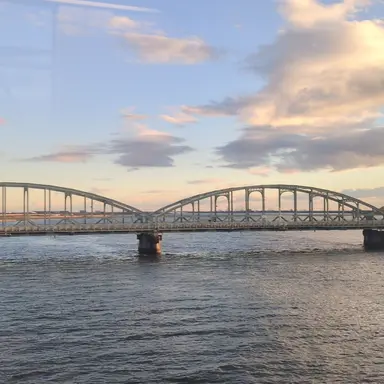 Profile image of ブリ子