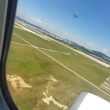 Profile image of 공룡