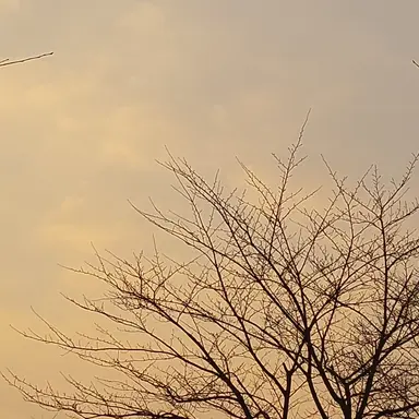 Profile image of 각별