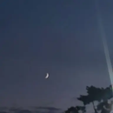 Profile image of 수현