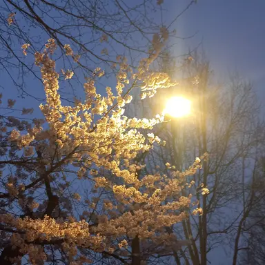 Profile image of ㅁㅈㅎ