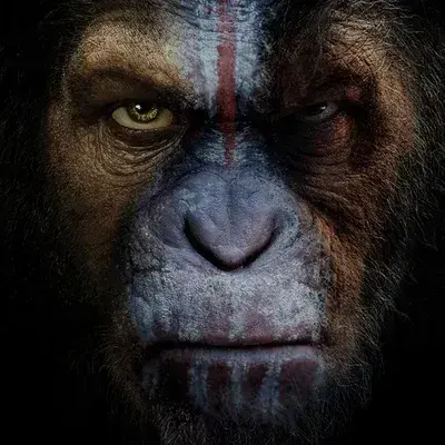 DecentPest4718의 Planet of the apes