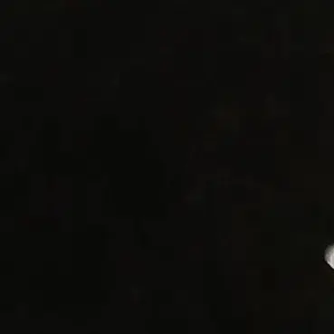Profile image of ベア