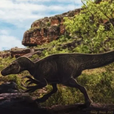 Profile image of 버룬오르