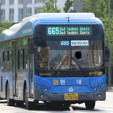 Profile image of 화이버드