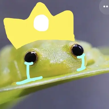 Profile image of フロギー