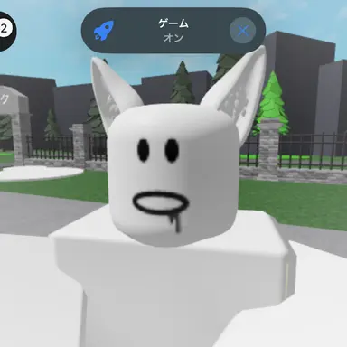 Profile image of 猫