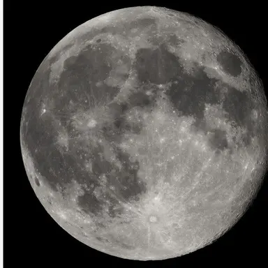 Profile image of 月