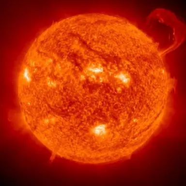 Profile image of 太陽