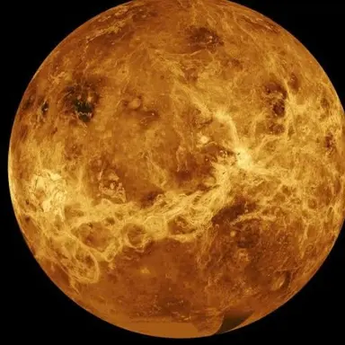 Profile image of 金星