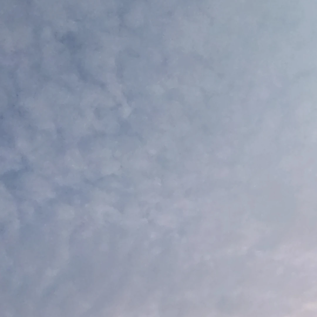 제이