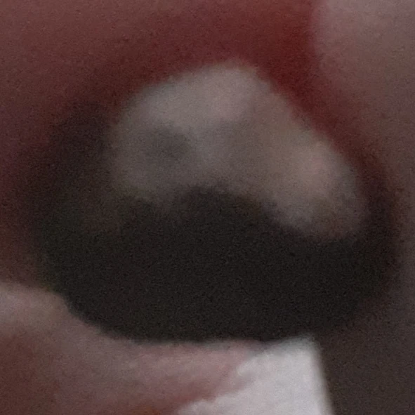 돌맹이