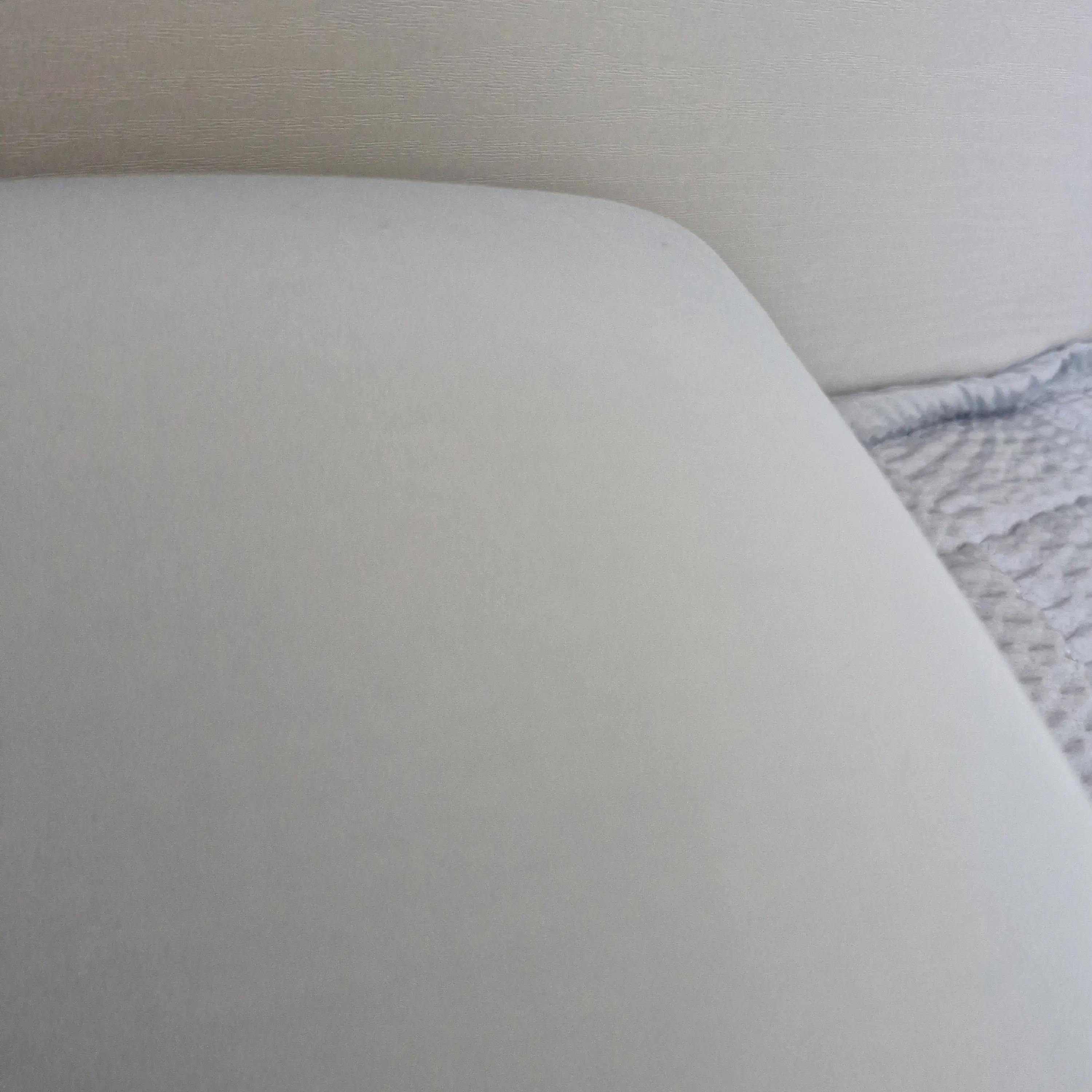 TacitSitar2578의 존예