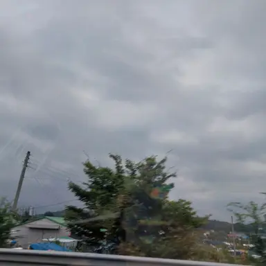 Profile image of 반애들