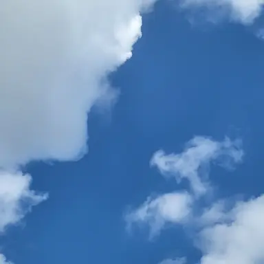 Profile image of 덕개경장