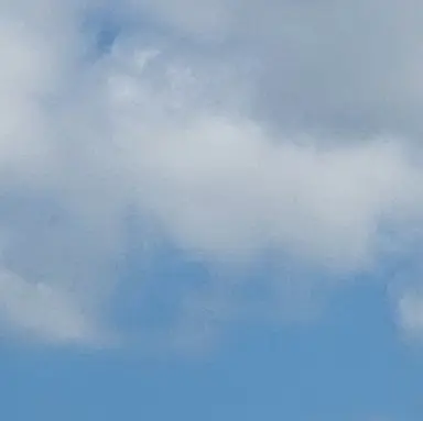 Profile image of 수현