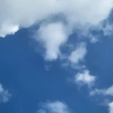 Profile image of 각별경사