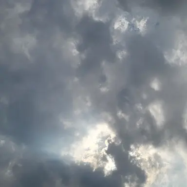 Profile image of 공룡경사