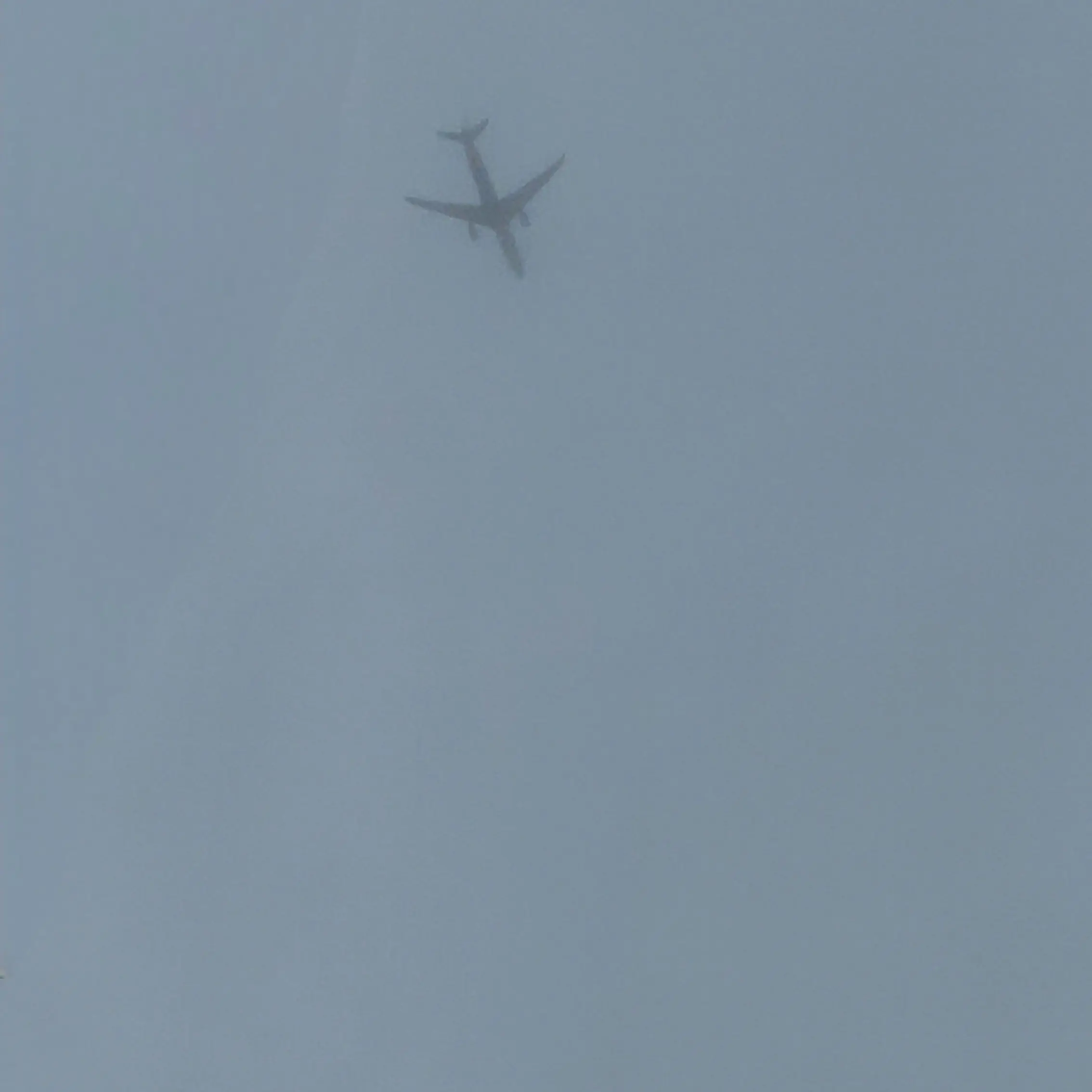 PettyDoor3802의 애정결핍 부기장님 컨트롤하기!