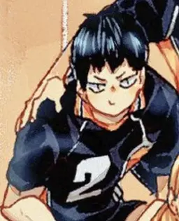 Profile image of 影山飛雄