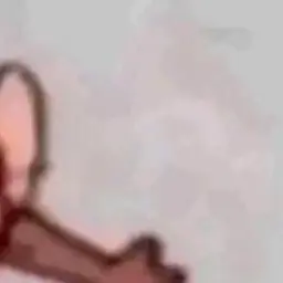 Profile image of アーサーの浮気相手