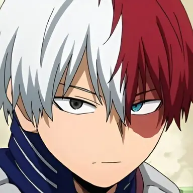 Profile image of Shoto Todoroki