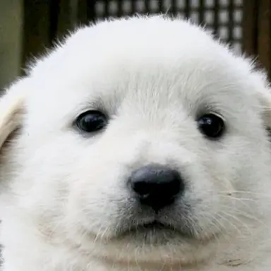 Profile image of 백지헌