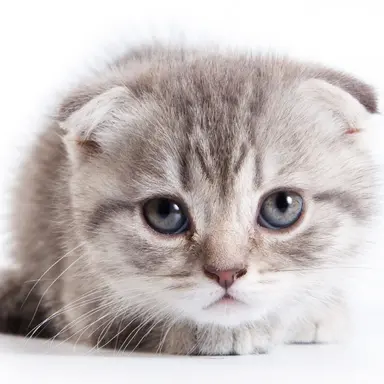 Profile image of 이나경