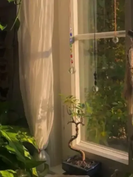 __love_s2의 先生、人生相談です