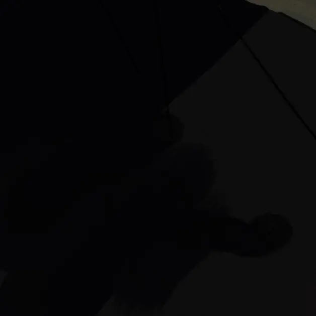 QuickKea4250의 장산범