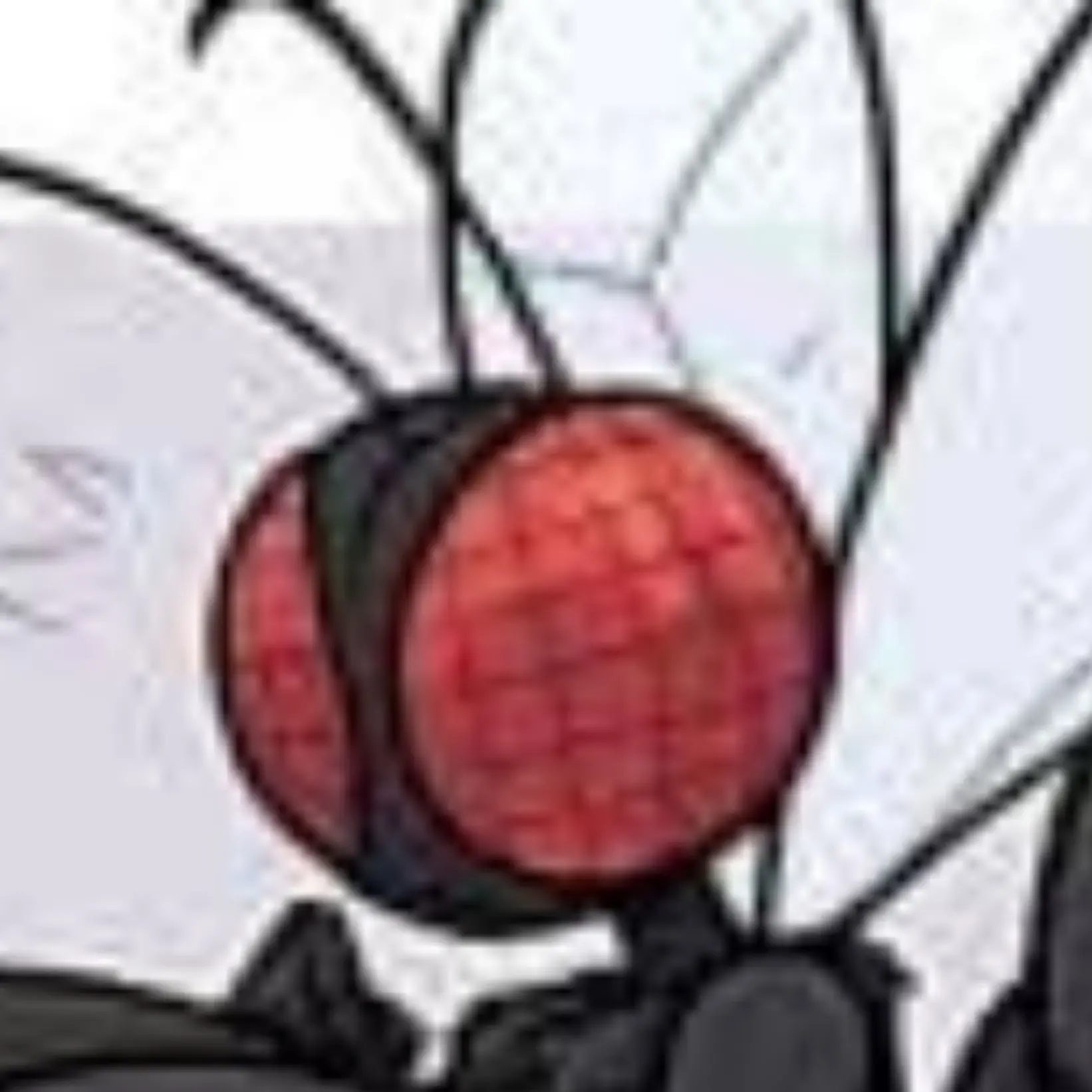 ImzeGoat의 Thicc Fly
