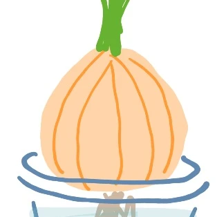 양파
