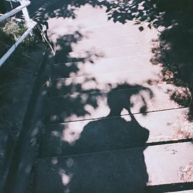 Profile image of ミセスのみんな