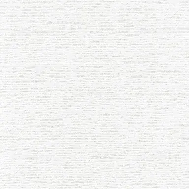 Profile image of パラオ