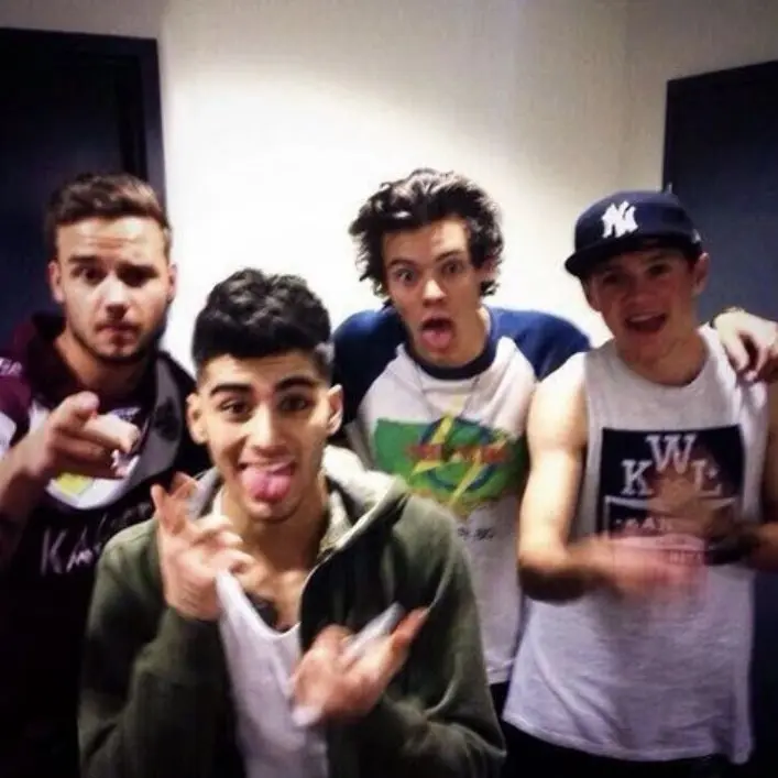 MutedFloss4565의 one direction