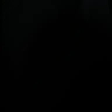 Profile image of 이연후