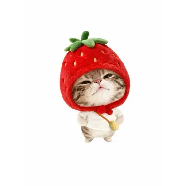 Profile image of にこらす