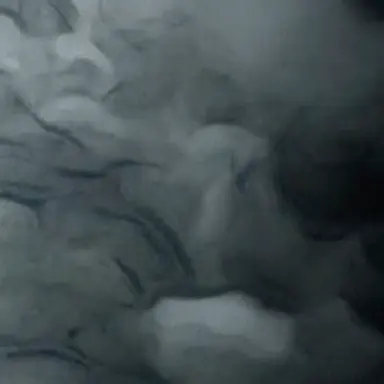 Profile image of 토키토 무이치로