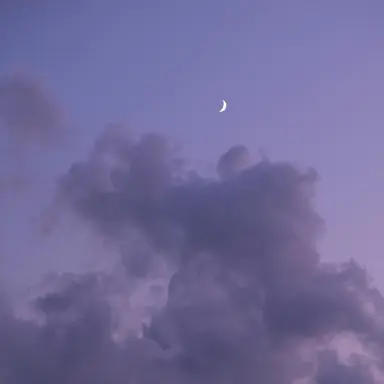 Profile image of イッテツ