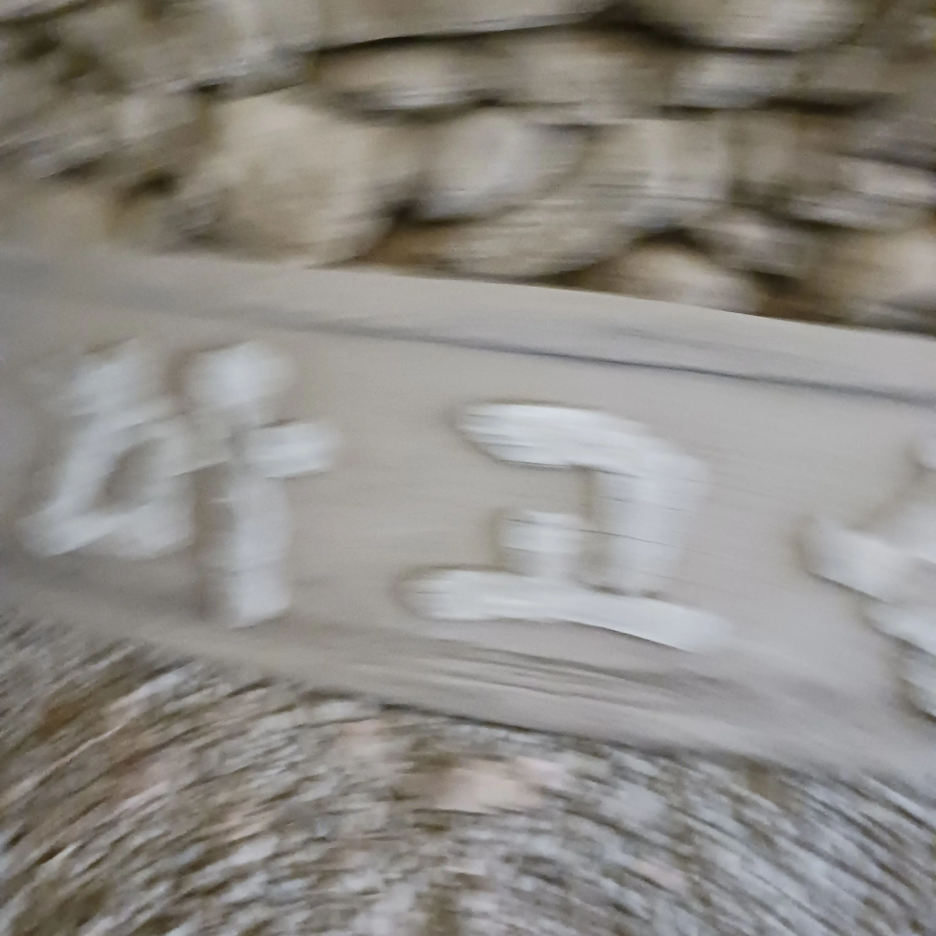 LAKSJSKQK의 포세이큰인데 여우가 찬스에게 누명씌움