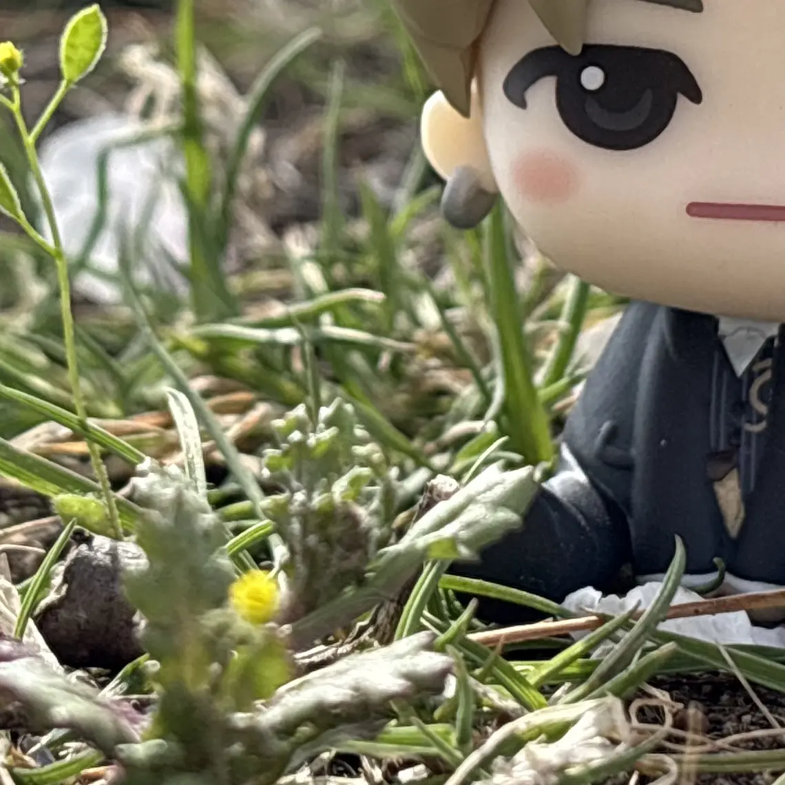 GrainyFilm0444의 灯火